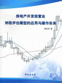 房地产开发经营业纳税评估模型的应用与操作实务封面图