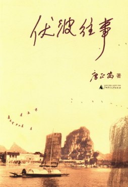 伏波往事封面图