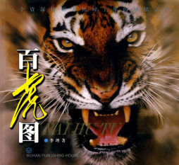 百虎图封面图