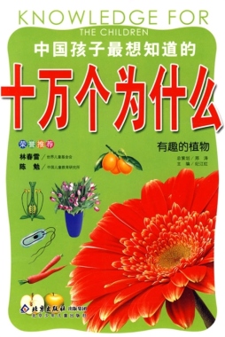 有趣的植物封面图