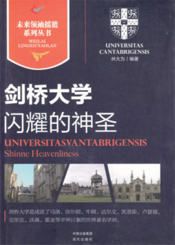 闪耀的神圣封面图