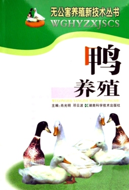 鸭养殖封面图