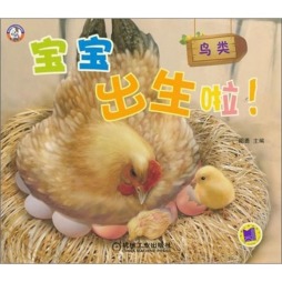 宝宝出生啦！封面图