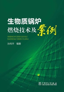 生物质锅炉燃烧技术及案例封面图
