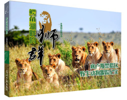 鳄鱼湖畔的狮群封面图