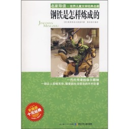 钢铁是怎样炼成的封面图