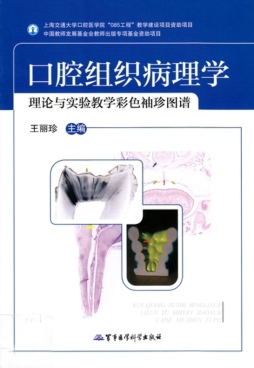 口腔组织病理学理论与实验教学彩色袖珍图谱封面图