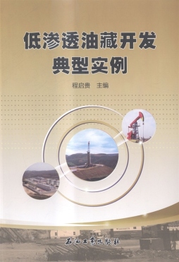 低渗透油藏开发典型实例封面图