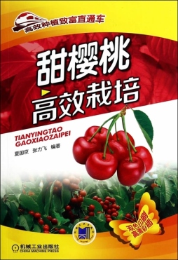 甜樱桃高效栽培封面图