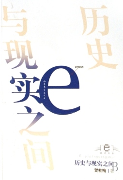 历史与现实之间封面图