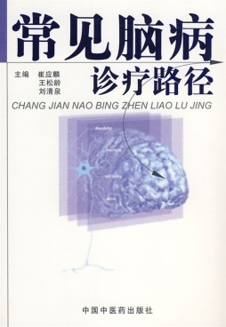 常见脑病诊疗路径封面图