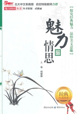 魅力情思封面图