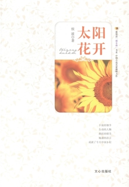 太阳花开封面图