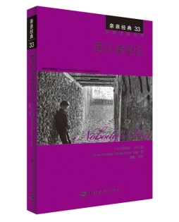 苦儿流浪记封面图