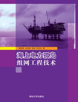 海上电力孤岛组网工程技术封面图