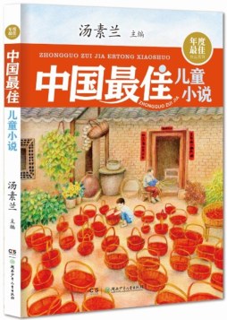 2013年度最佳儿童小说封面图