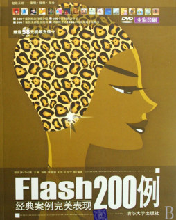 Flash经典案例完美表现200例封面图