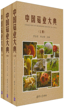 中国菇业大典封面图