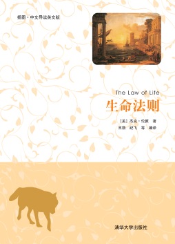 生命法则封面图