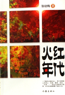 火红年代封面图