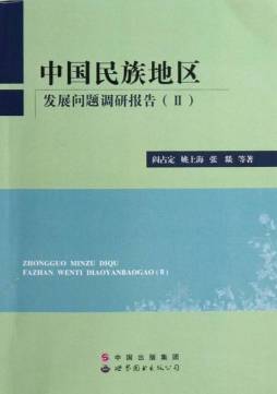 中国民族地区发展问题调研报告封面图
