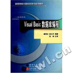 Visual Basic数据库编程封面图