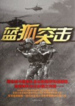 蓝狐突击封面图