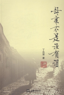 母亲不是没有泪封面图