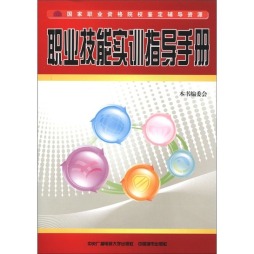 职业技能实训指导手册封面图