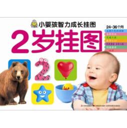 小婴孩智力成长挂图封面图