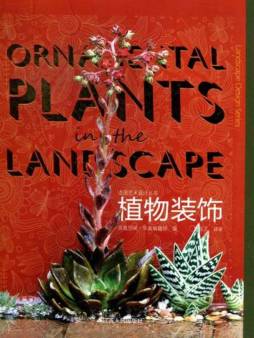 植物装饰封面图
