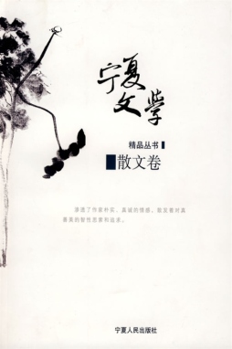 宁夏文学精品丛书封面图