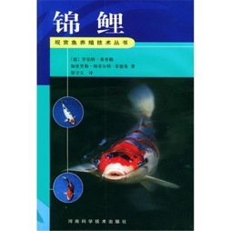 锦鲤封面图