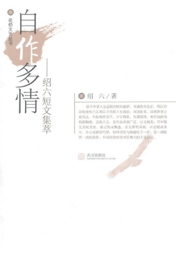 自作多情封面图