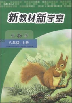 新教材新学案封面图