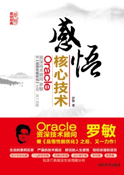 感悟Oracle核心技术封面图