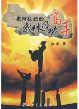 我所认识的武林内功高手封面图