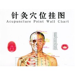 针灸穴位挂图封面图