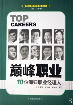 巅峰职业封面图