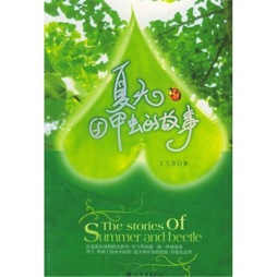 夏天与甲虫的故事封面图
