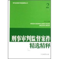 刑事审判监督案件精选精释封面图