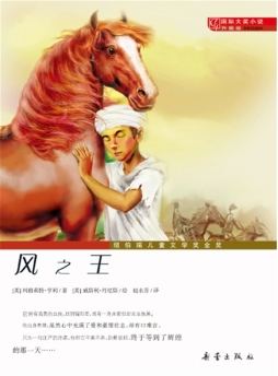 风之王封面图