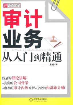 审计业务从入门到精通封面图