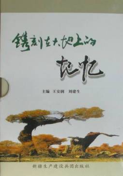 镌刻在大地上的记忆封面图