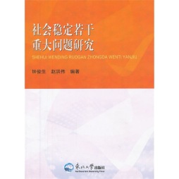 社会稳定若干重大问题研究封面图