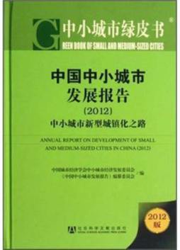 中国中小城市发展报告封面图