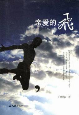 亲爱的，飞封面图