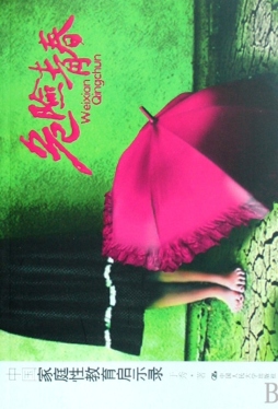 危险青春封面图