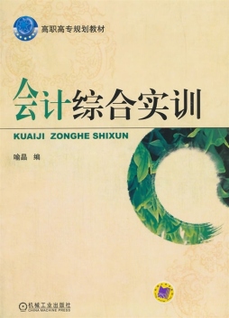 会计综合实训封面图