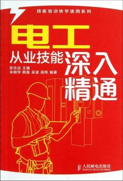 电工从业技能深入精通封面图